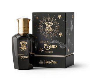 Парфуми Harry Potter Ambition 50мл 4022343071901 фото